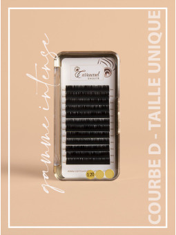 copy of Gamme intense - courbe C - Taille unique